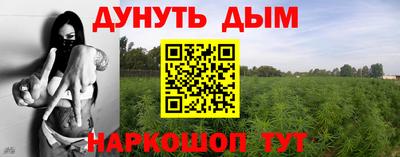 ПСИЛОЦИБИНОВЫЕ ГРИБЫ Бийск