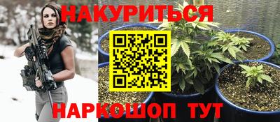 PSILOCYBIN Берёзовский