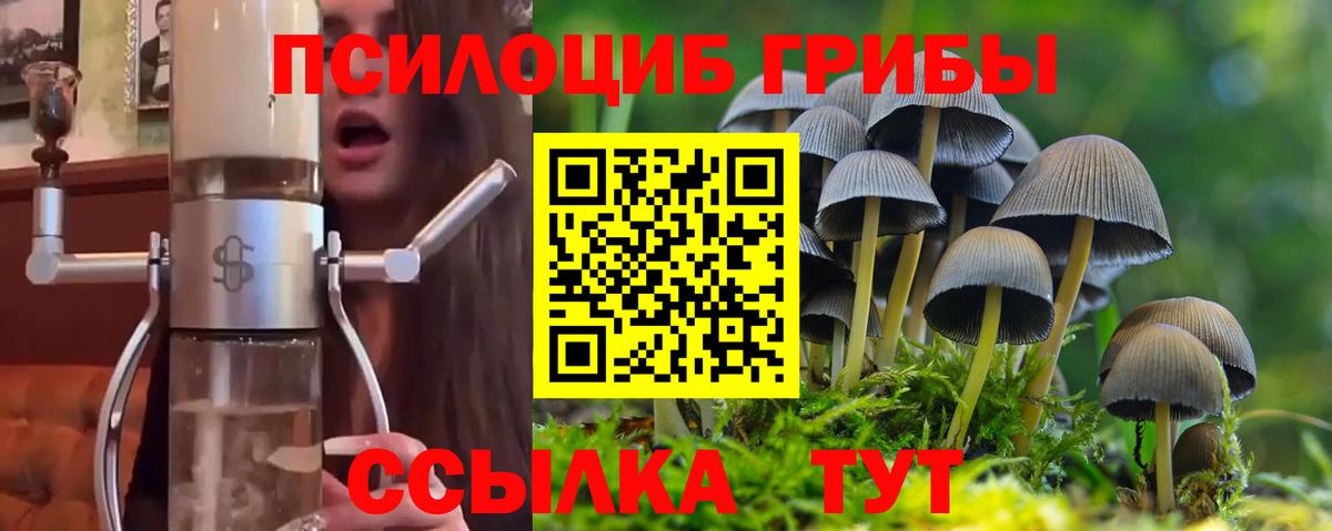 Ковров  Галлюциногенные грибы GOLDEN TEACHER  Вход с VPN 